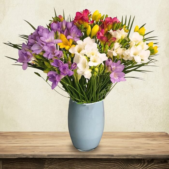 Just Freesia Bouquet - Mixed Colours