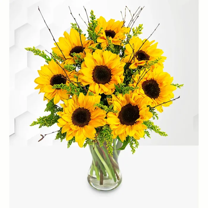 Sensational Sunflowers